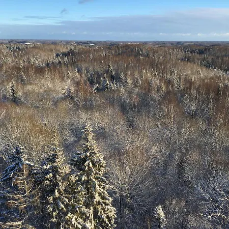 Tammehouse Holiday home *