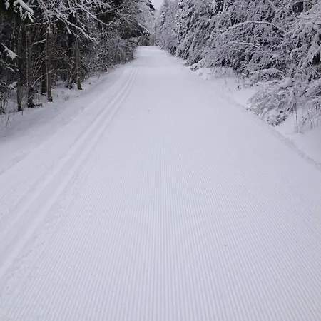 Tammehouse Vikendica