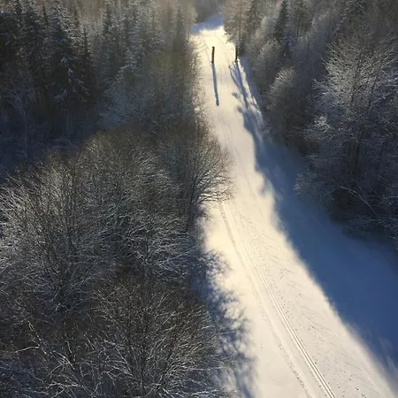 Tammehouse Puhkemaja