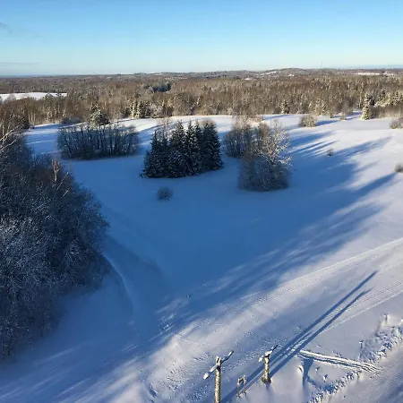 Tammehouse Vikendica *