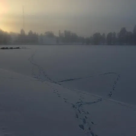 Vikendica Tammehouse *