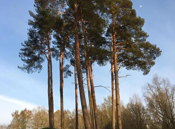 Tammehouse Holiday home