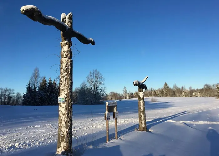 Tammehouse Holiday home *