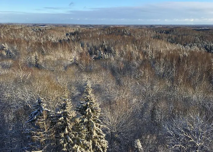 Tammehouse Holiday home *