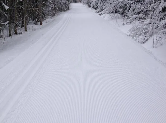 Tammehouse Holiday home