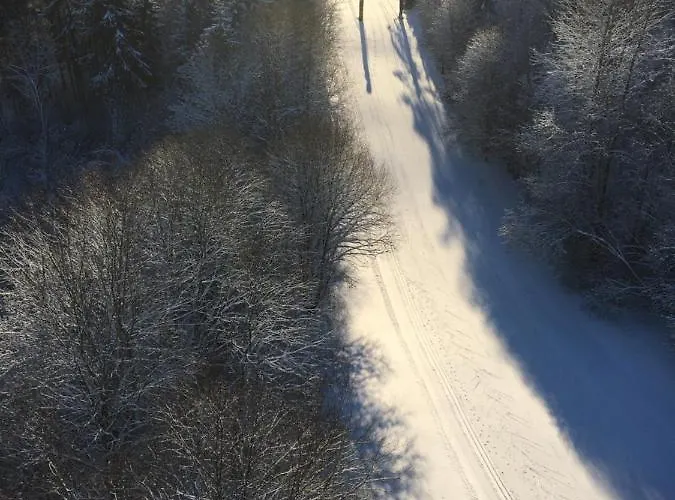 Tammehouse Holiday home