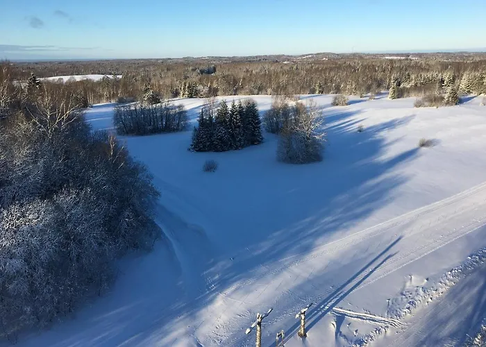 Tammehouse Holiday home *