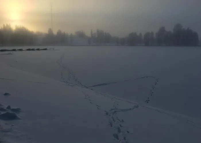 Holiday home Tammehouse *