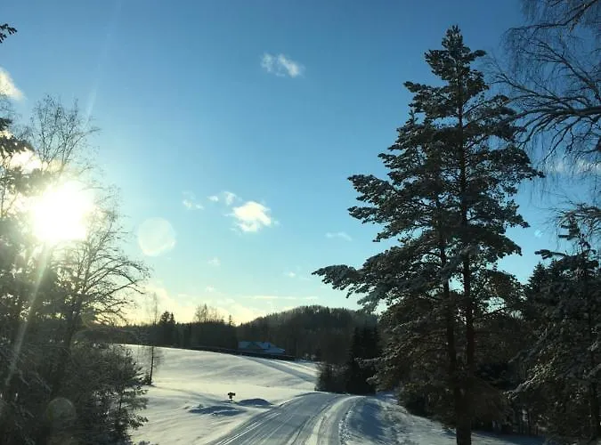 Tammehouse Holiday home Otepaa